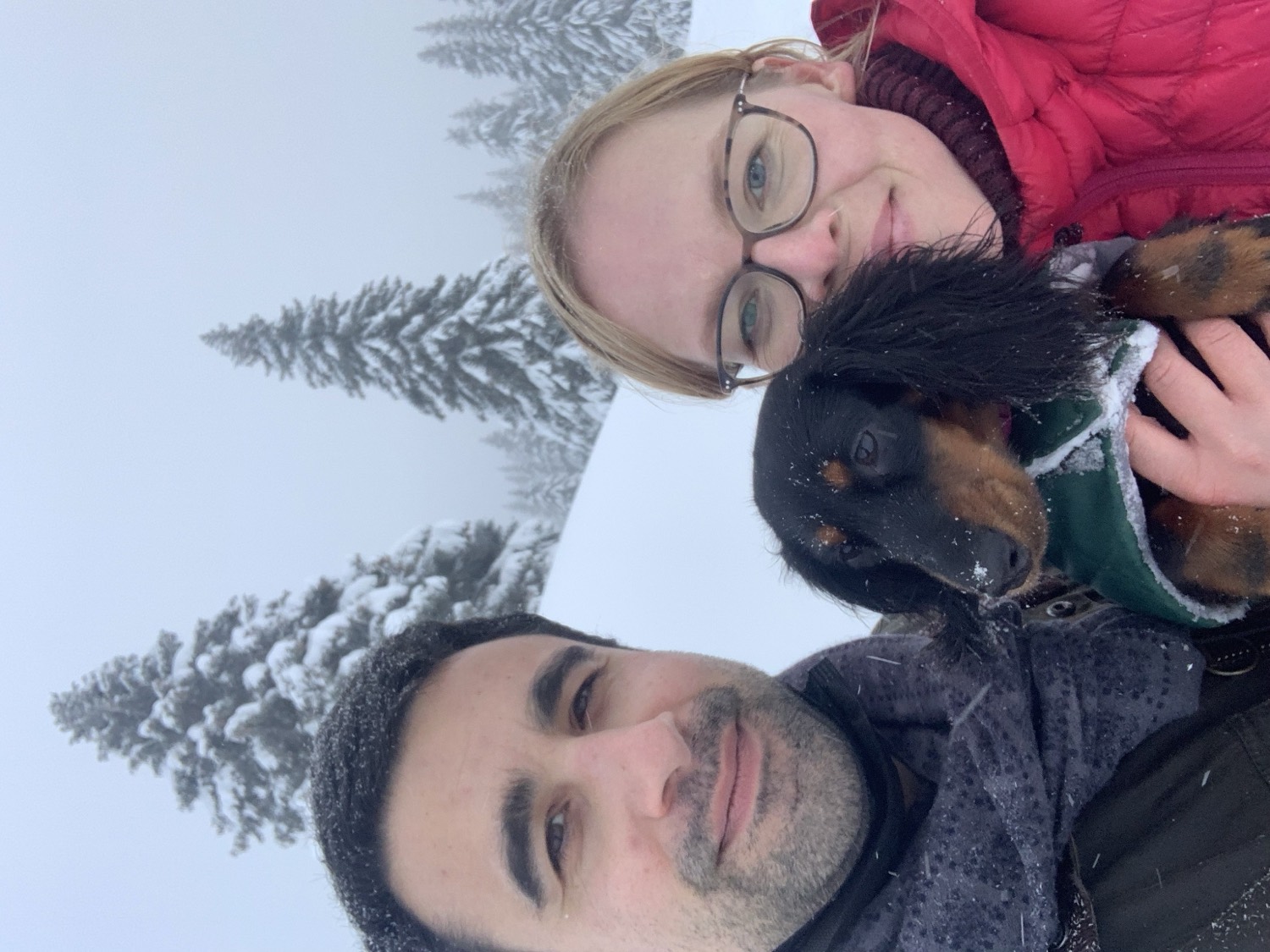 Adam and Jirina with Aja out in falling snow among snow-covered pines in the Jura